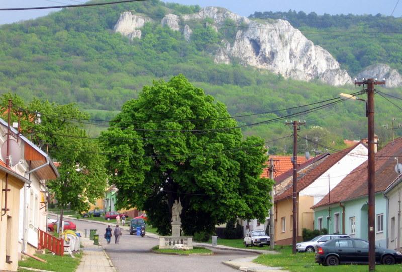Penzion Bouquet Хорни Виестонице Екстериор снимка